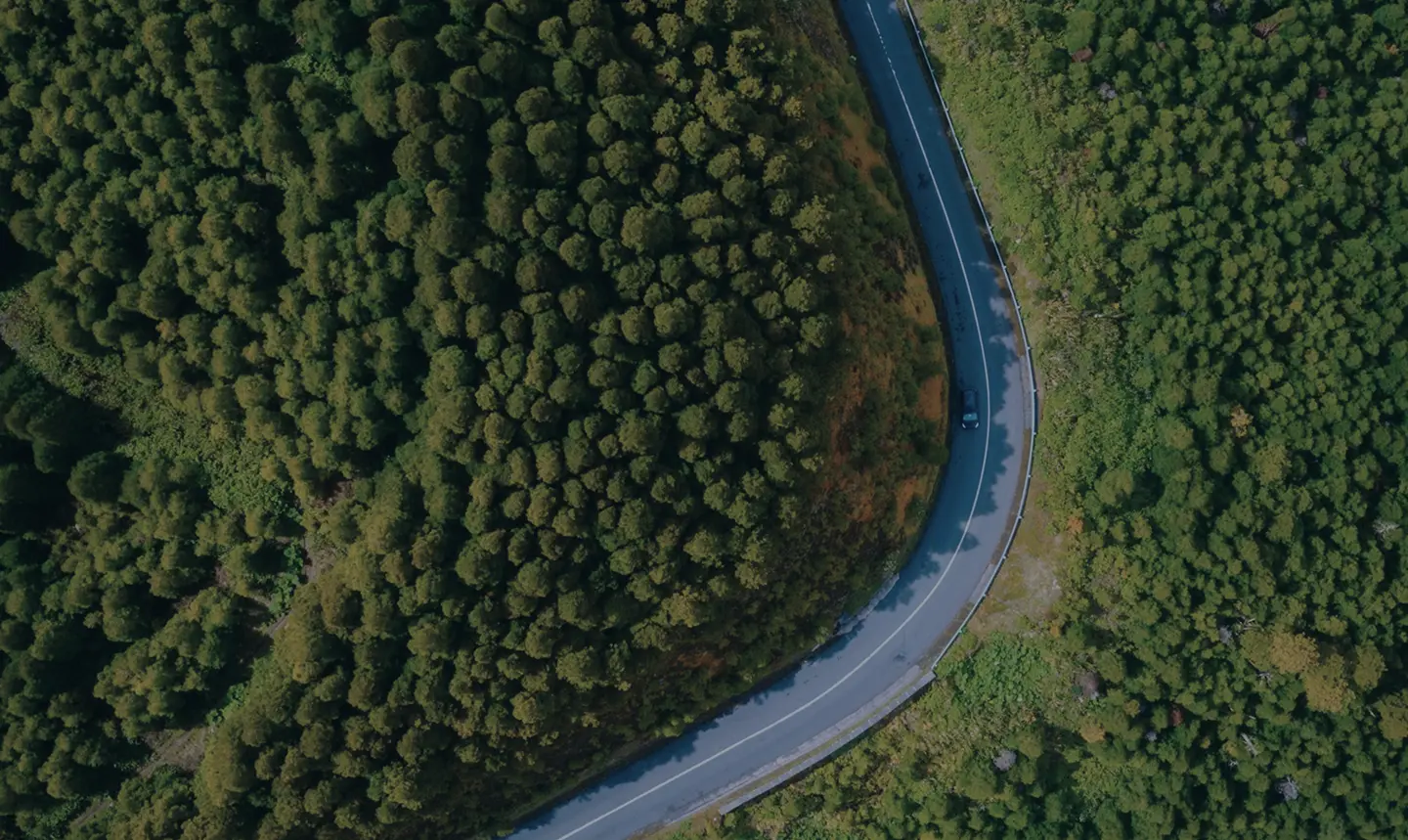 Happy passengers in a car - community travel